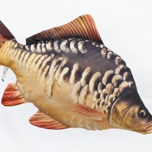 Kapr lysec páskovaný Giant - 80 cm